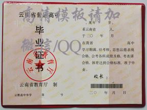 南涧2008年高中毕业证图片