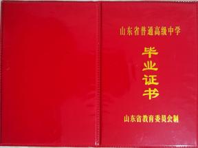 泰安市2000年高中毕业证样本及图片参数