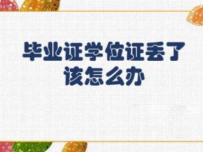 山东省高中毕业证遗失补办全攻略 （政策·资料·流程一次讲清，2025 年最新版）