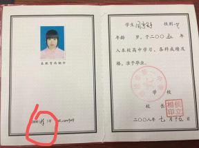 2008年黑龙江高中毕业证样本详解：从样式特征到补办流程