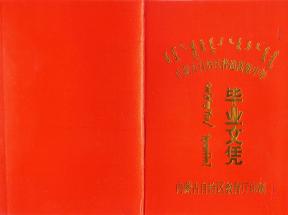 集宁2001年高中毕业证样本：样式、编码、补办