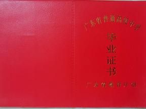 河源1996年高中毕业证样本 ——附1995年样式对比、编号规则与遗失补办流程